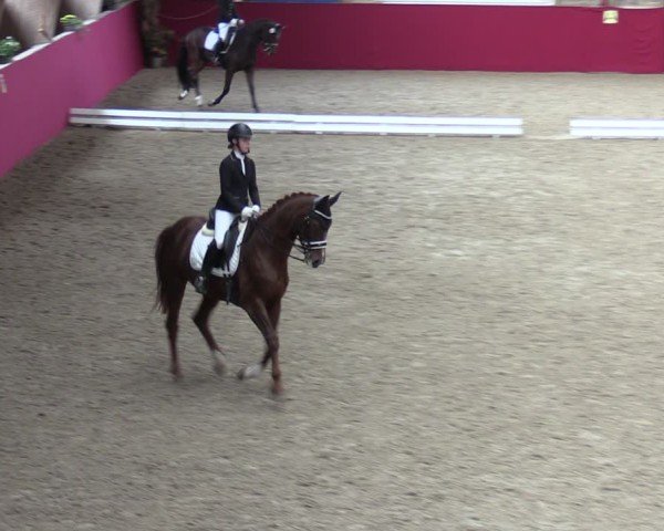 Reitturnier Krumke 2024