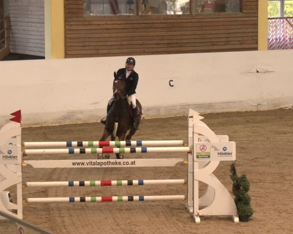 Reitturnier Stadl-Paura 2024