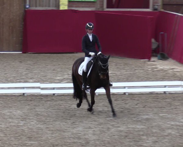 Reitturnier Krumke 2024
