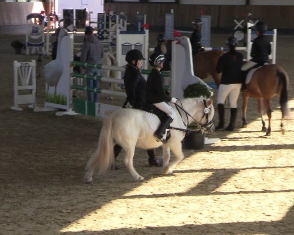 Reitturnier Zwickau 2024