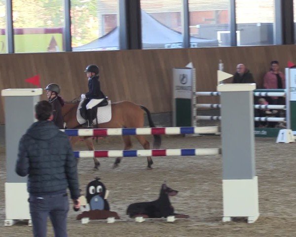 Reitturnier Zwickau 2024