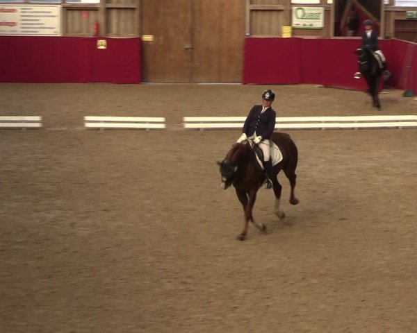 Reitturnier Krumke 2024