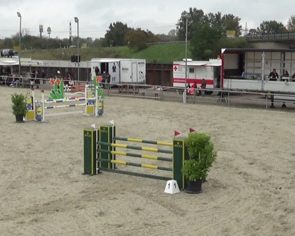 Reitturnier Achern 2024
