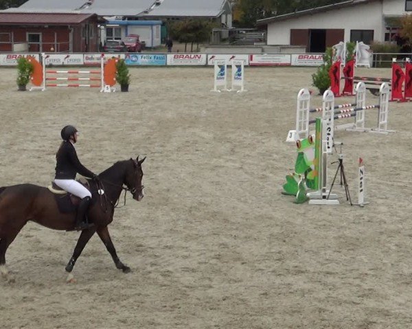 Reitturnier Achern 2024