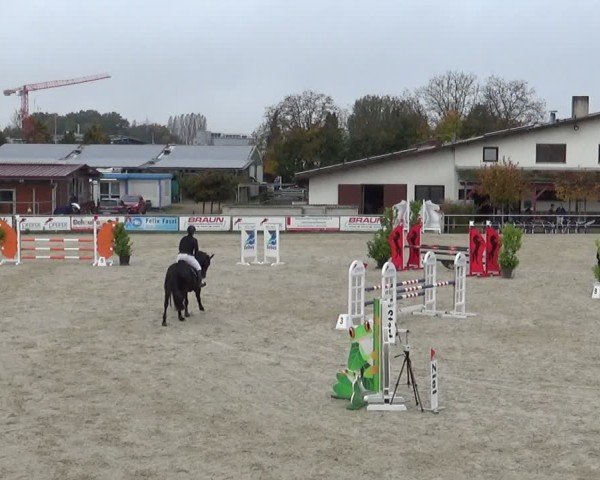 Reitturnier Achern 2024