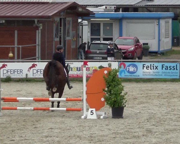 Reitturnier Achern 2024