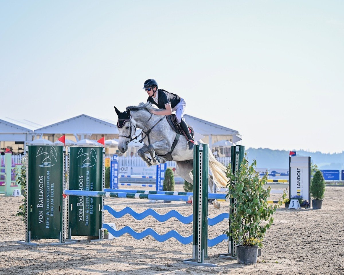 jumper Curl Girl Pj (Hanoverian, 2019, from Colman)