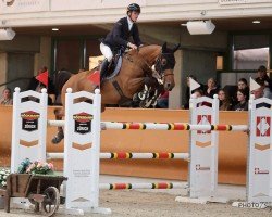 jumper Grace (Oldenburg, 2017, from Kannan)