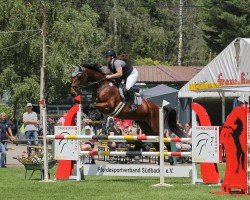 broodmare Larica (Holsteiner, 2018, from Colore)