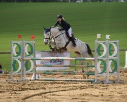 jumper Chill ma Charly (German Sport Horse, 2014, from Countdown)