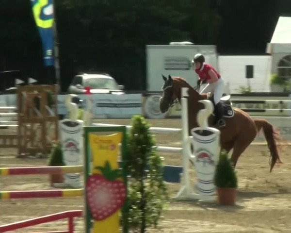 60. Lobbericher Reitsportfestival 01.-04.08.2013