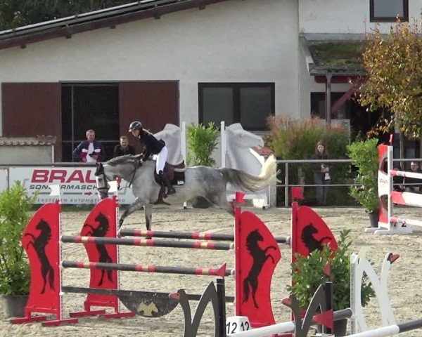 Reitturnier Achern 2024