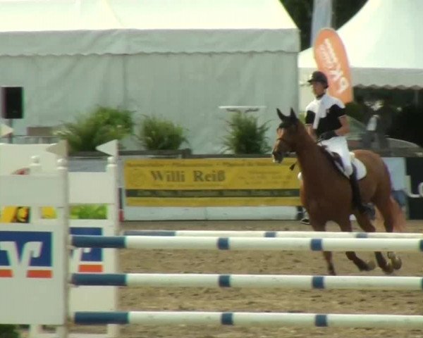 60. Lobbericher Reitsportfestival 01.-04.08.2013