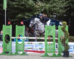 jumper Heiligenbergs Rock it Robber (German Riding Pony, 2017, from Heiligenbergs Reich und Sexy)