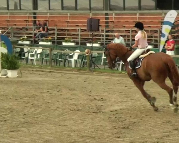 60. Lobbericher Reitsportfestival 01.-04.08.2013