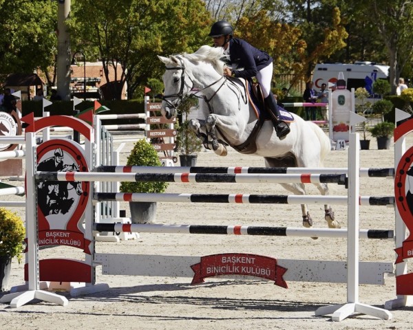 horse Footloose VDW Z (Zangersheide riding horse, 2014, from Farfan)