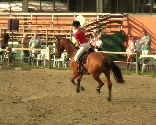 60. Lobbericher Reitsportfestival 01.-04.08.2013