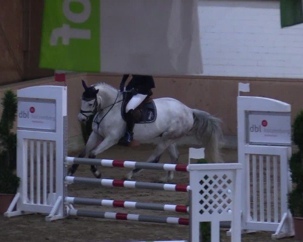 Reitturnier Hövelhof 2024