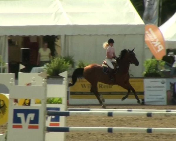 60. Lobbericher Reitsportfestival 01.-04.08.2013