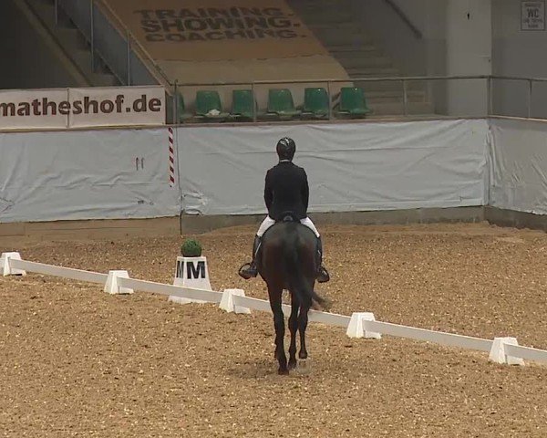 Reitturnier Kreuth/Opf. 2024