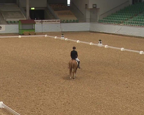 Reitturnier Kreuth/Opf. 2024