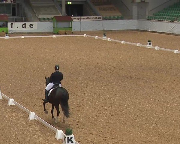Reitturnier Kreuth/Opf. 2024