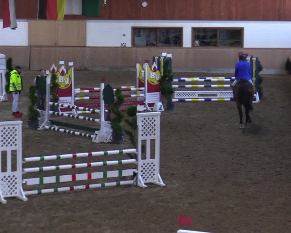 Reitturnier Hövelhof 2024