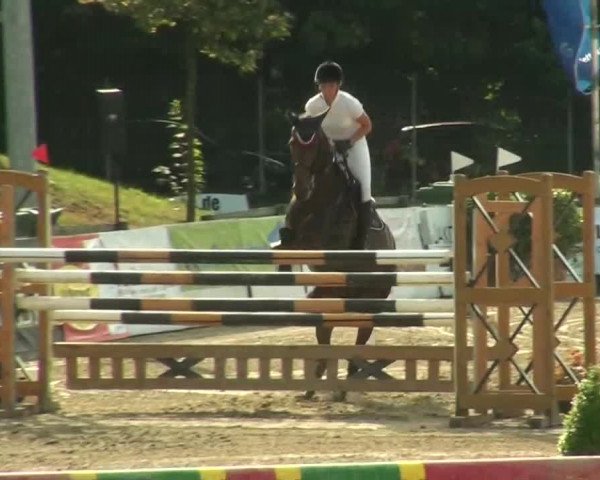 60. Lobbericher Reitsportfestival 01.-04.08.2013
