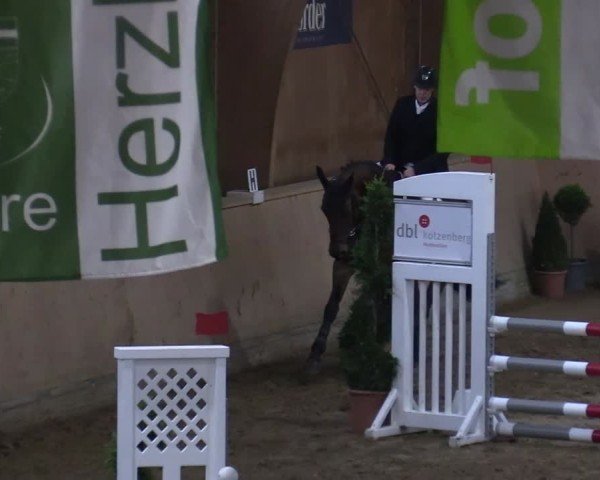 Reitturnier Hövelhof 2024