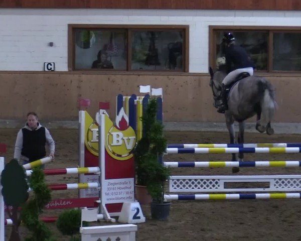 Reitturnier Hövelhof 2024