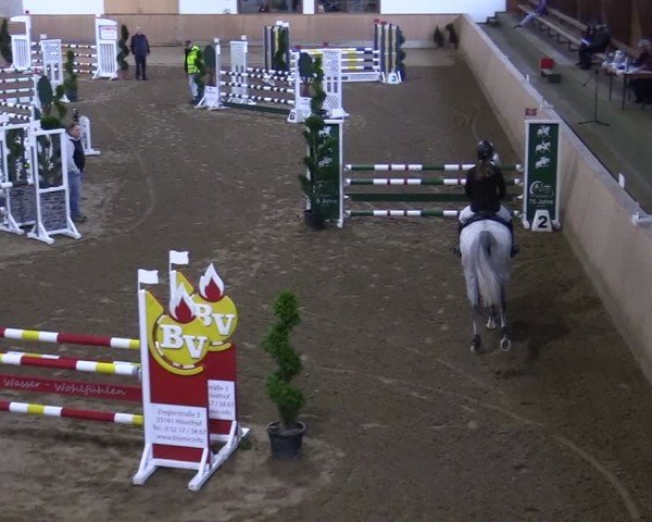 Reitturnier Hövelhof 2024