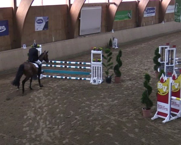 Reitturnier Hövelhof 2024