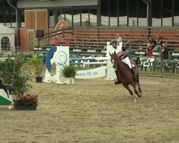 60. Lobbericher Reitsportfestival 01.-04.08.2013
