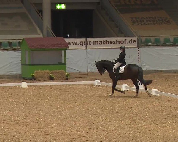 Reitturnier Kreuth/Opf. 2024