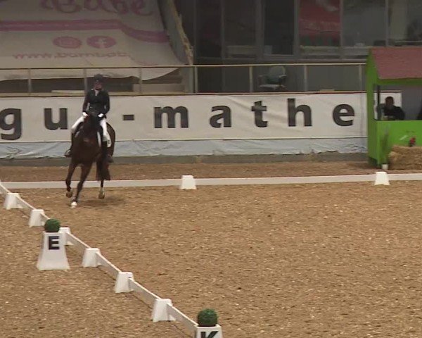 Reitturnier Kreuth/Opf. 2024