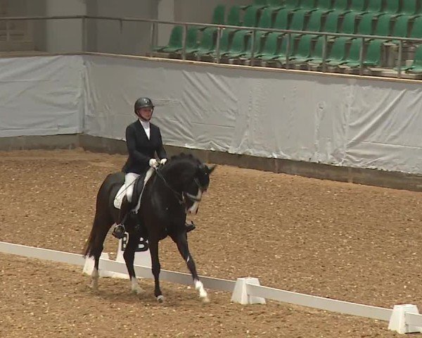 Reitturnier Kreuth/Opf. 2024