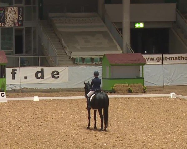 Reitturnier Kreuth/Opf. 2024