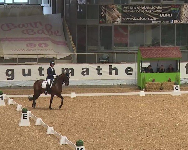 Reitturnier Kreuth/Opf. 2024