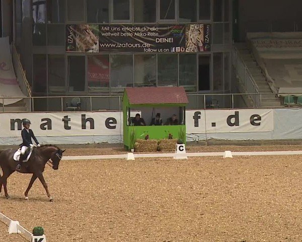 Reitturnier Kreuth/Opf. 2024