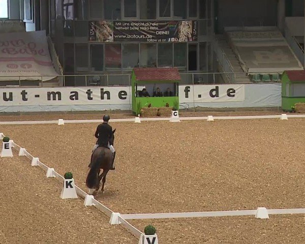 Reitturnier Kreuth/Opf. 2024