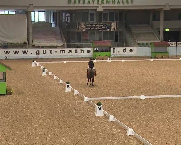 Reitturnier Kreuth/Opf. 2024