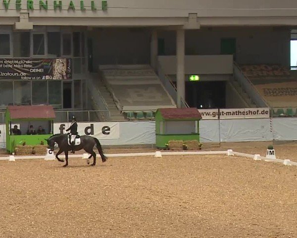 Reitturnier Kreuth/Opf. 2024