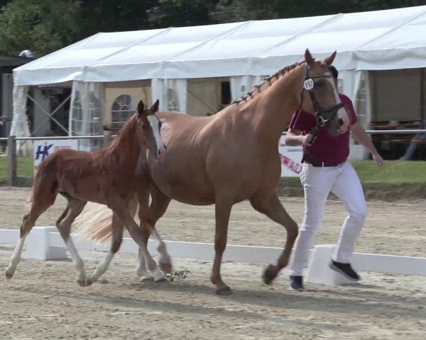 Video of Feuertänzer