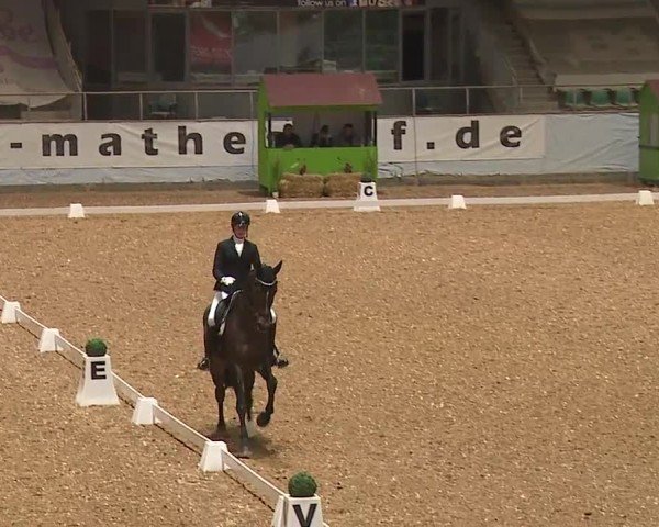 Reitturnier Kreuth/Opf. 2024