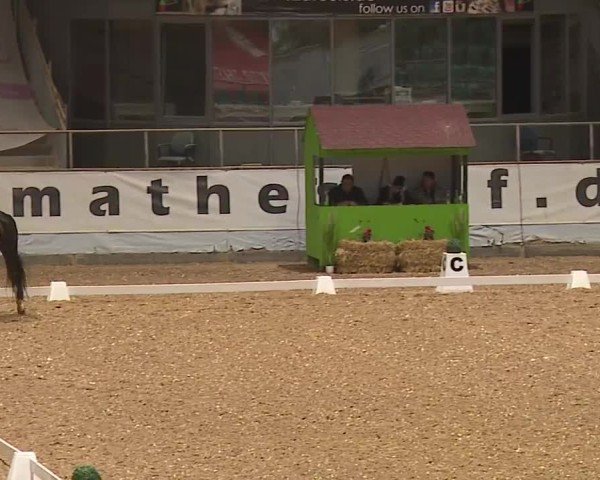 Reitturnier Kreuth/Opf. 2024