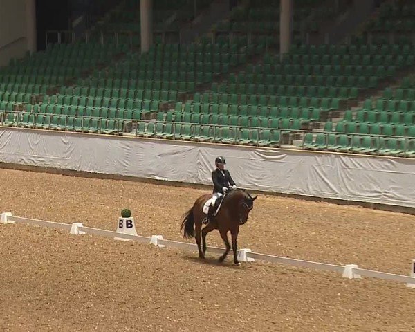 Reitturnier Kreuth/Opf. 2024