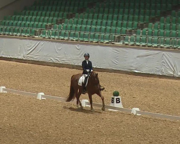 Reitturnier Kreuth/Opf. 2024
