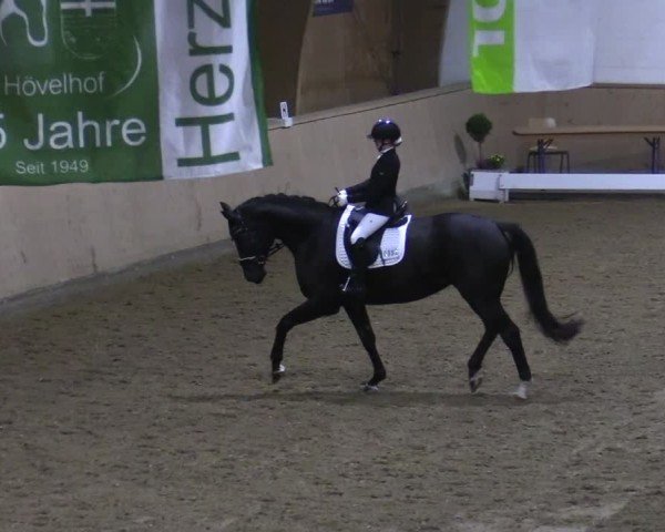 Reitturnier Hövelhof 2024