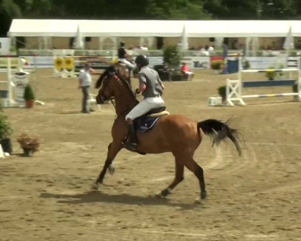 60. Lobbericher Reitsportfestival 01.-04.08.2013