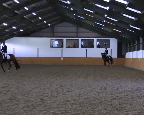 Reitturnier Frechen-Bachem 2024